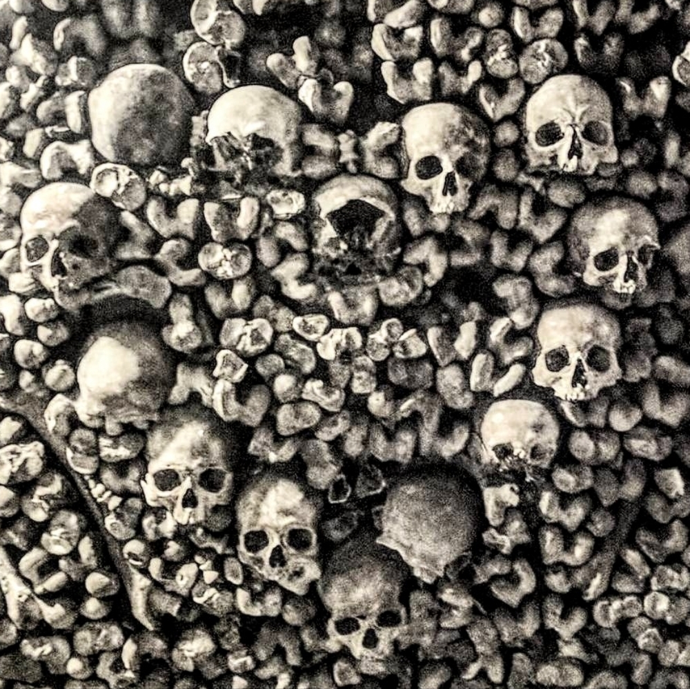 Meet your Posher, Kristina